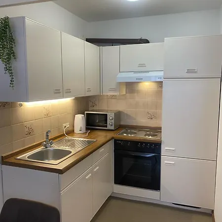 Au Rhin Mit Balkon In Apartment Bad Bellingen